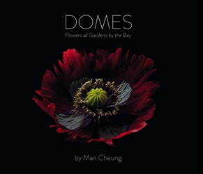 Domes | 9789814721967