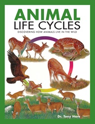 Animal Life Cycles | 9789815044492
