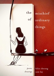 The Mischief of Ordinary Things: Not everything is as it seems | 9789815169188