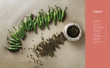 A Dash of Szechwan |  A Dash of Szechwan